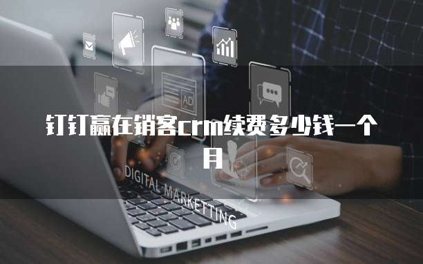 钉钉赢在销客crm续费多少钱一个月