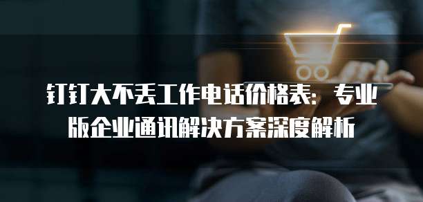 钉钉大不丢工作电话价格表：专业版企业通讯解决方案深度解析
