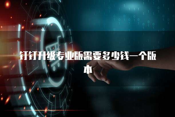 钉钉升级专业版需要多少钱一个版本