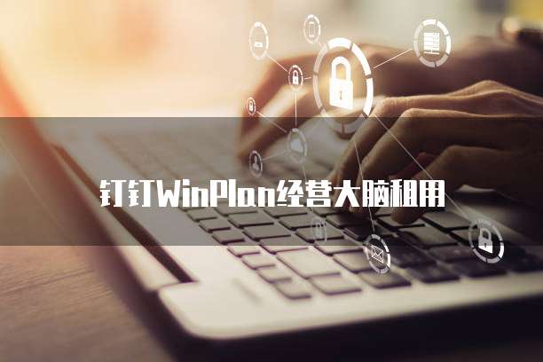 钉钉WinPlan经营大脑租用