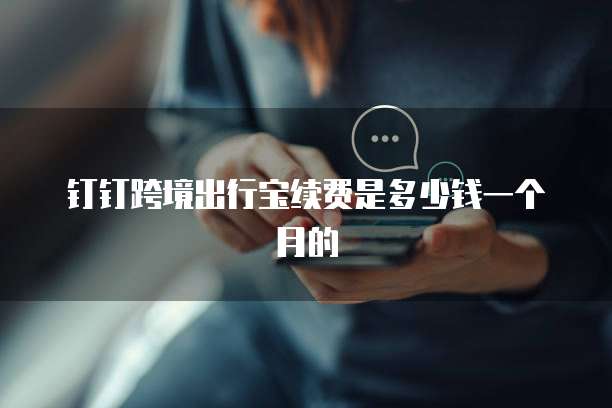 钉钉跨境出行宝续费是多少钱一个月的