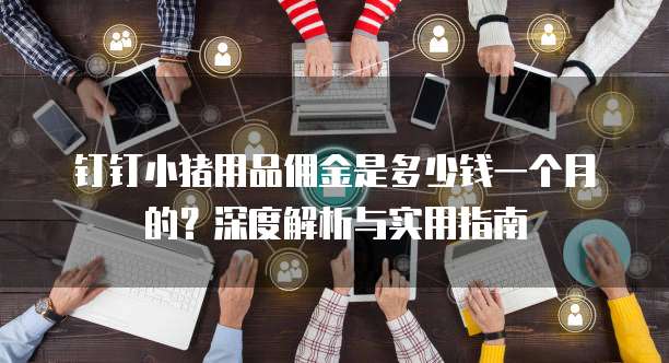钉钉小猪用品佣金是多少钱一个月的?深度解析与实用指南