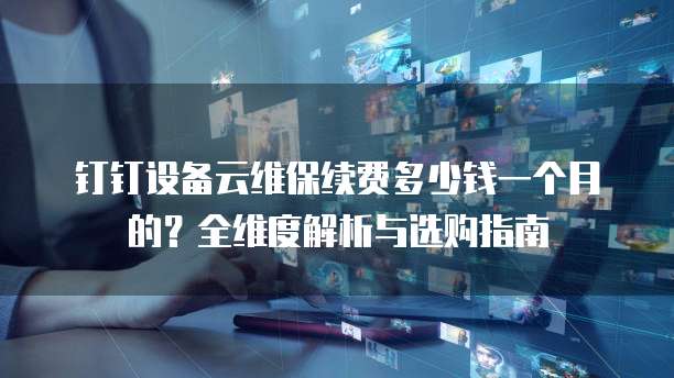 钉钉设备云维保续费多少钱一个月的?全维度解析与选购指南