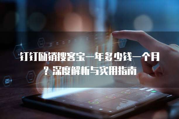 钉钉励销搜客宝一年多少钱一个月?深度解析与实用指南