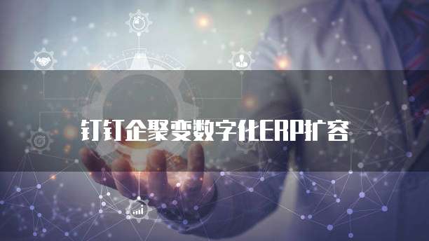 钉钉企聚变数字化ERP扩容