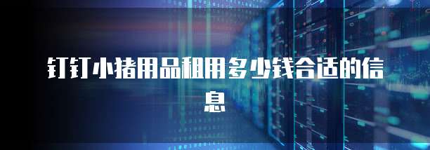 钉钉小猪用品租用多少钱合适的信息