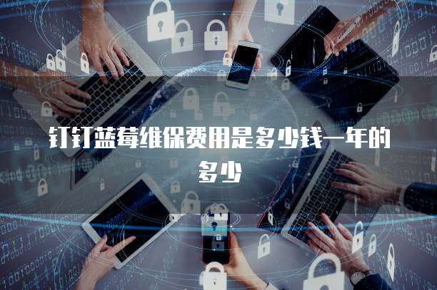 钉钉蓝莓维保费用是多少钱一年的多少