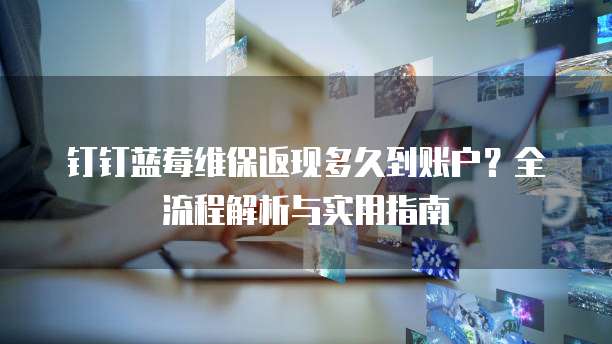 钉钉蓝莓维保返现多久到账户?全流程解析与实用指南