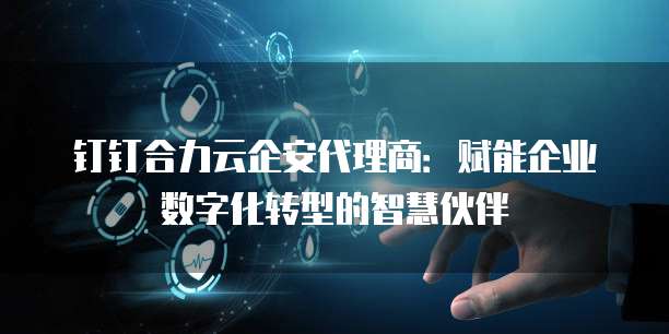 钉钉合力云企安代理商：赋能企业数字化转型的智慧伙伴