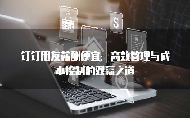 钉钉用友薪酬便宜:高效管理与成本控制的双赢之道