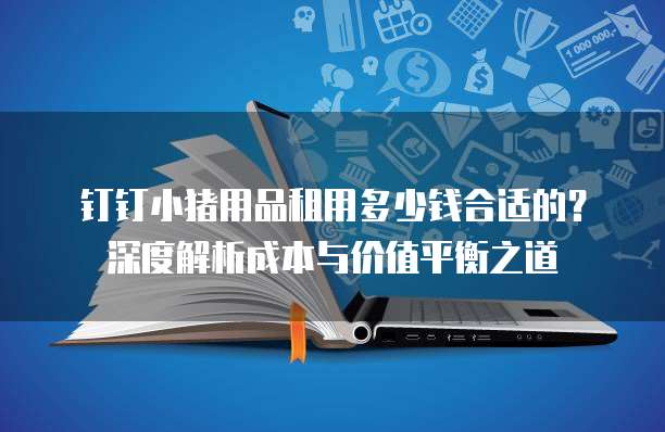 钉钉小猪用品租用多少钱合适的?深度解析成本与价值平衡之道