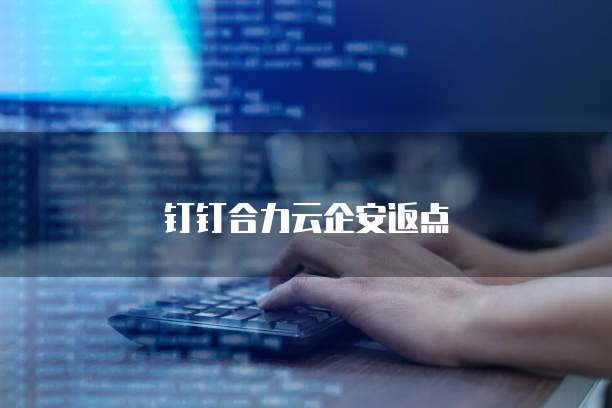 钉钉合力云企安返点