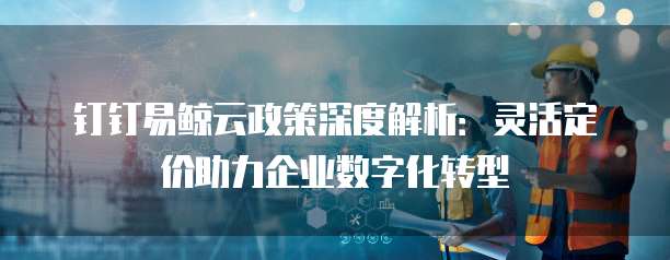 钉钉易鲸云政策深度解析:灵活定价助力企业数字化转型