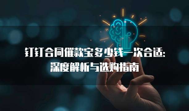 钉钉合同催款宝多少钱一次合适：深度解析与选购指南