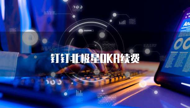 钉钉北极星OKR续费