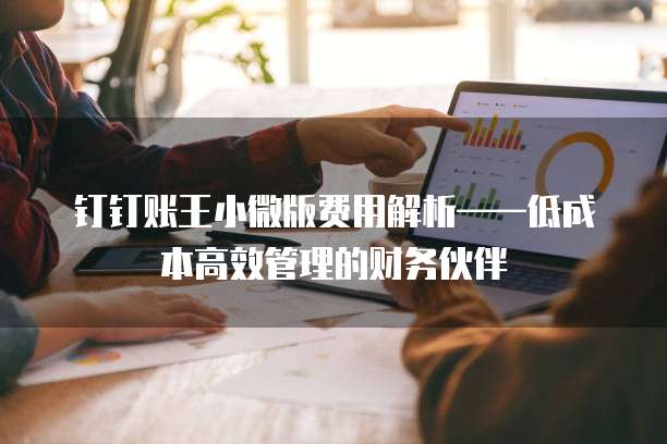 钉钉账王小微版费用解析&mdash;&mdash;低成本高效管理的财务伙伴  