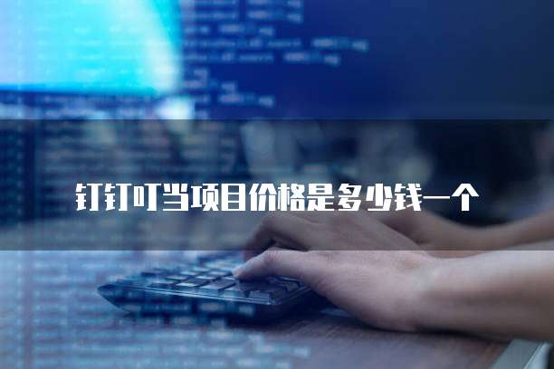钉钉叮当项目价格是多少钱一个