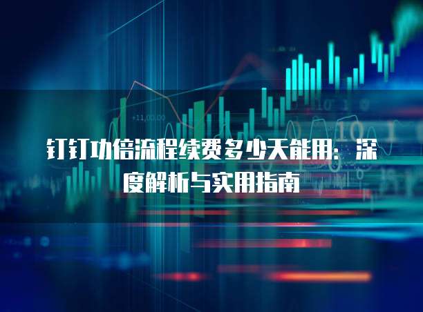 钉钉功倍流程续费多少天能用:深度解析与实用指南