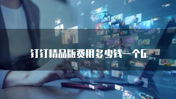 钉钉精品版费用多少钱一个G