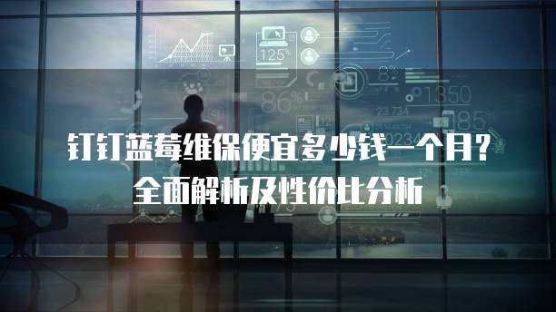 钉钉蓝莓维保便宜多少钱一个月?全面解析及性价比分析