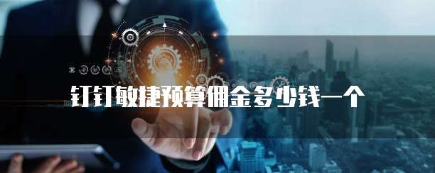 钉钉敏捷预算佣金多少钱一个