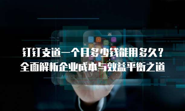 钉钉支道一个月多少钱能用多久？全面解析企业成本与效益平衡之道