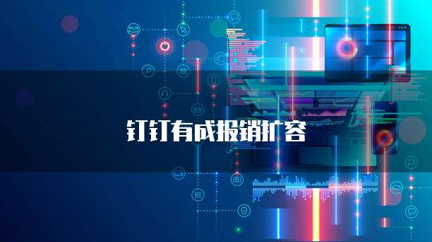 钉钉有成报销扩容