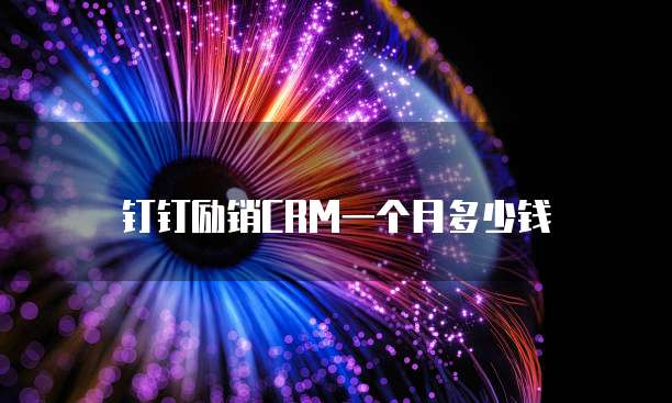 钉钉励销CRM一个月多少钱