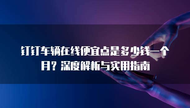 钉钉车辆在线便宜点是多少钱一个月?深度解析与实用指南
