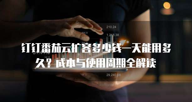 钉钉番茄云扩容多少钱一天能用多久？成本与使用周期全解读  
