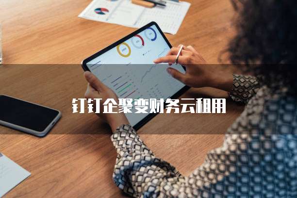 钉钉企聚变财务云租用