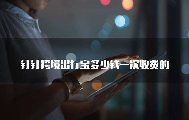 钉钉跨境出行宝多少钱一次收费的
