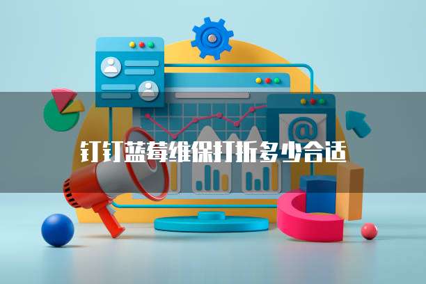 钉钉蓝莓维保打折多少合适