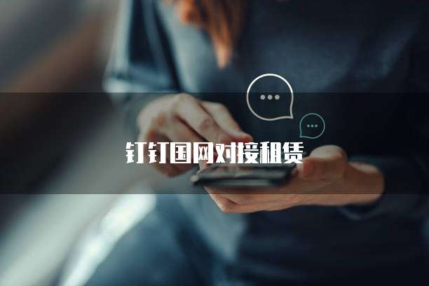 钉钉国网对接租赁