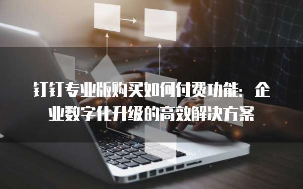 钉钉专业版购买如何付费功能:企业数字化升级的高效解决方案