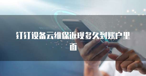 钉钉设备云维保返现多久到账户里面