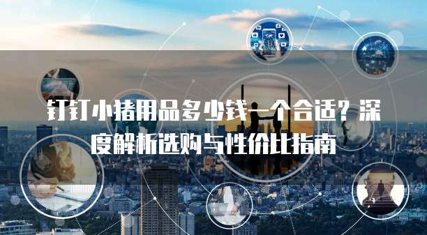 钉钉小猪用品多少钱一个合适?深度解析选购与性价比指南