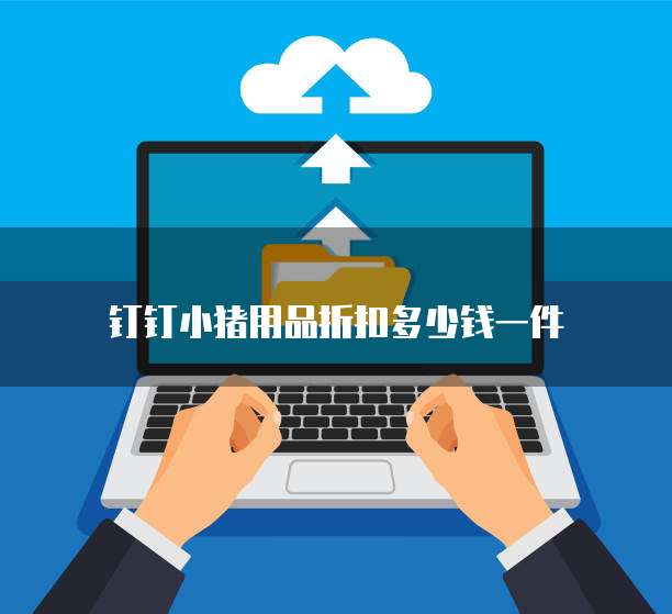 钉钉小猪用品折扣多少钱一件