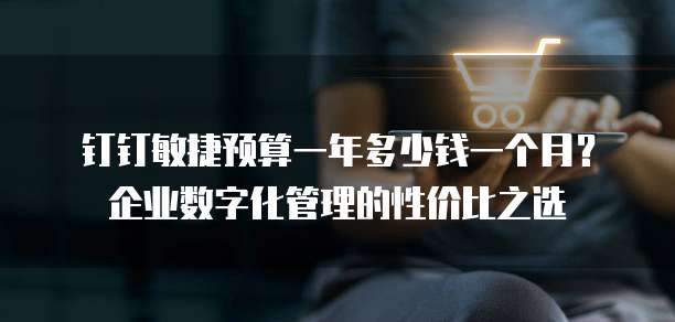 钉钉敏捷预算一年多少钱一个月?企业数字化管理的性价比之选