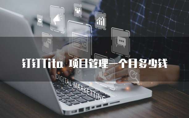 钉钉Tita 项目管理一个月多少钱