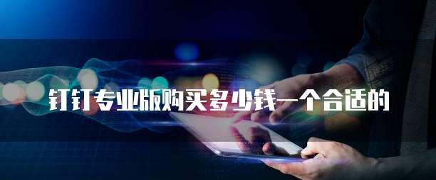 钉钉专业版购买多少钱一个合适的
