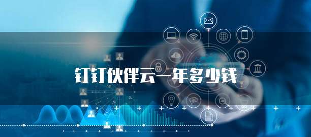 钉钉伙伴云一年多少钱