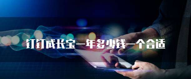 钉钉成长宝一年多少钱一个合适