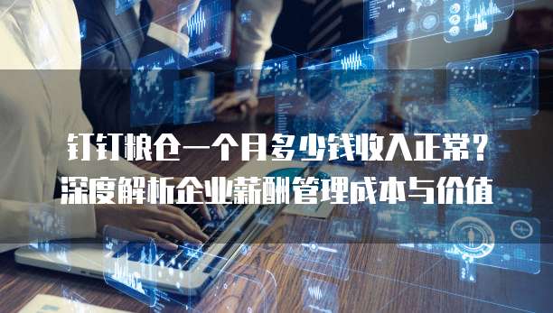 钉钉粮仓一个月多少钱收入正常？深度解析企业薪酬管理成本与价值
