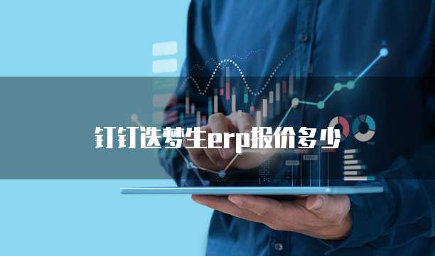 钉钉迭梦生erp报价多少