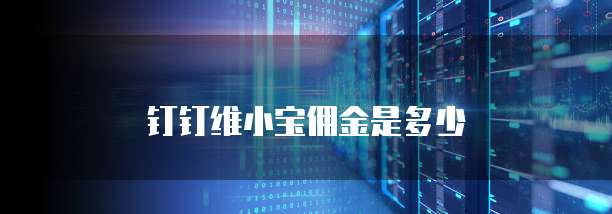 钉钉维小宝佣金是多少