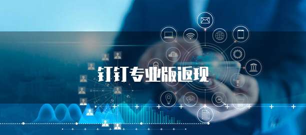 钉钉专业版返现