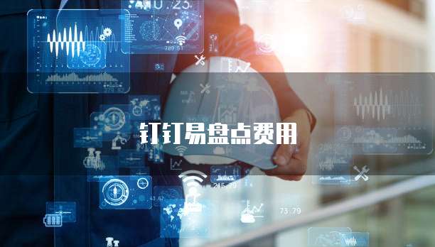 钉钉易盘点费用