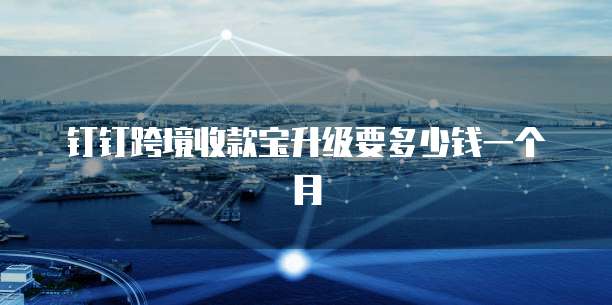 钉钉跨境收款宝升级要多少钱一个月