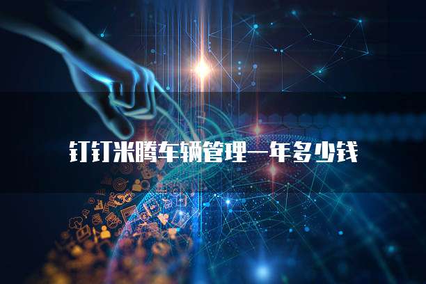 钉钉米腾车辆管理一年多少钱